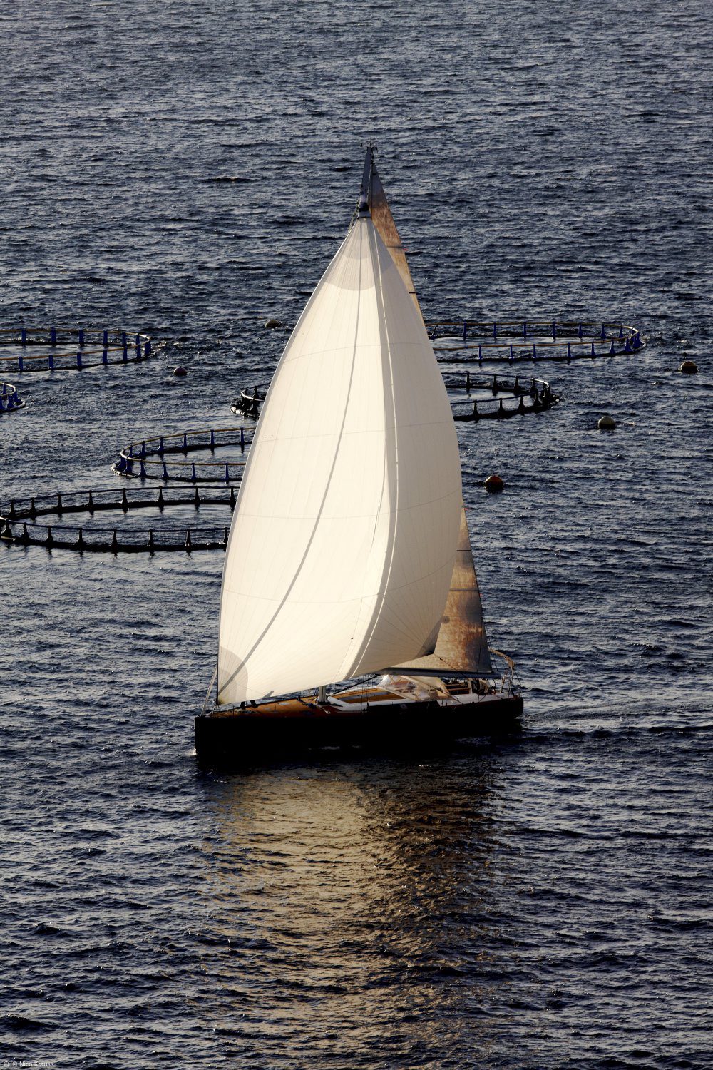 HanseYachts