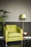 Lichtgroene fauteuil met huiselijke begeleiding