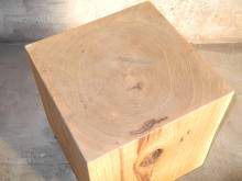 View from above of the seat with growth rings