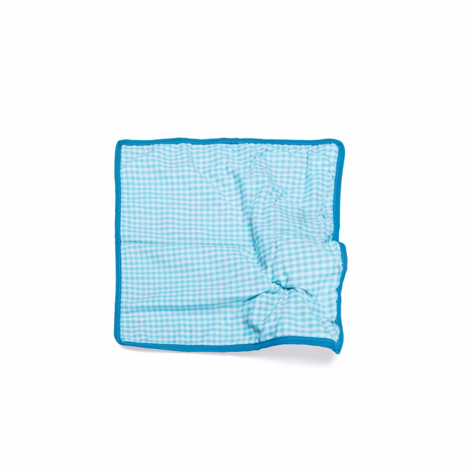 Welpenspielzeug und Kuscheldecke Bärchen