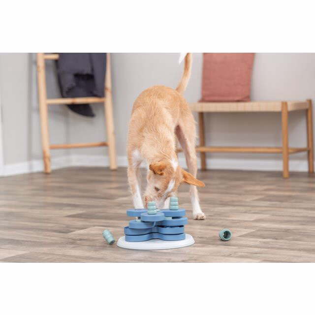 Dog Activity Strategiespiel Flower Tower