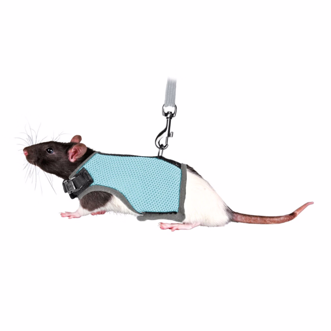 Trixie Softgeschirr für Ratten