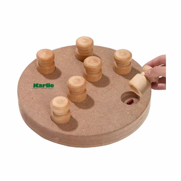 Doggy Brain Train 2in1 Intelligenzspiel für Hunde