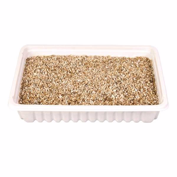 Trixie Katzengras-Schale, ca. 100 g