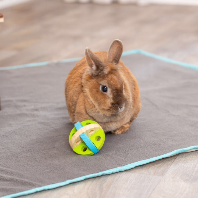 Spiel- und Snackball aus Holz