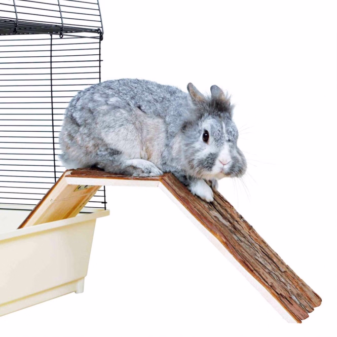 Trixie Brücke zum Verlassen des Käfigs