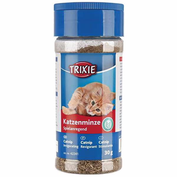 Katzenminze in Streudose