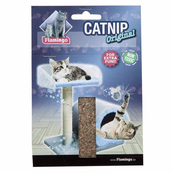 Katzenminze Catnip Original im Beutel