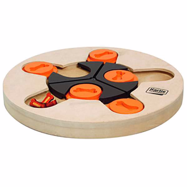 Intelligenzspielzeug Athena