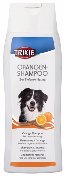 Orangen-Shampoo