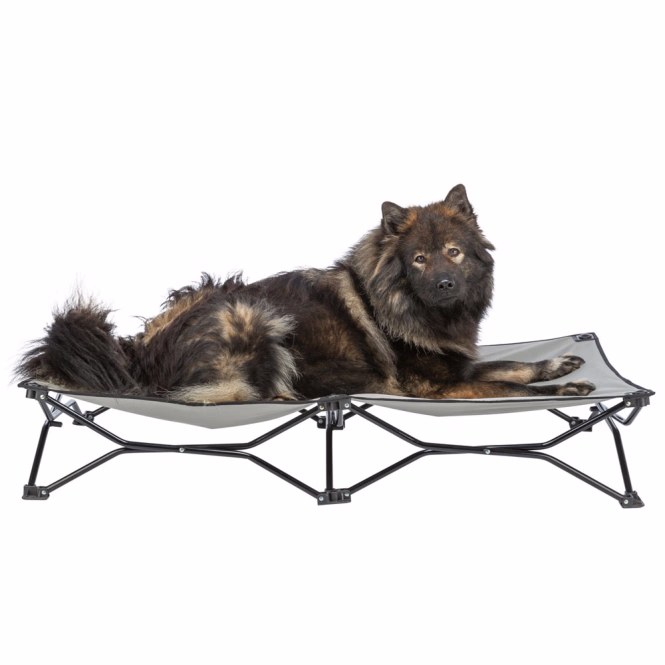 Camping-Bett für Hunde, faltbar