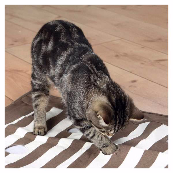 Cat Activity Pföteldecke
