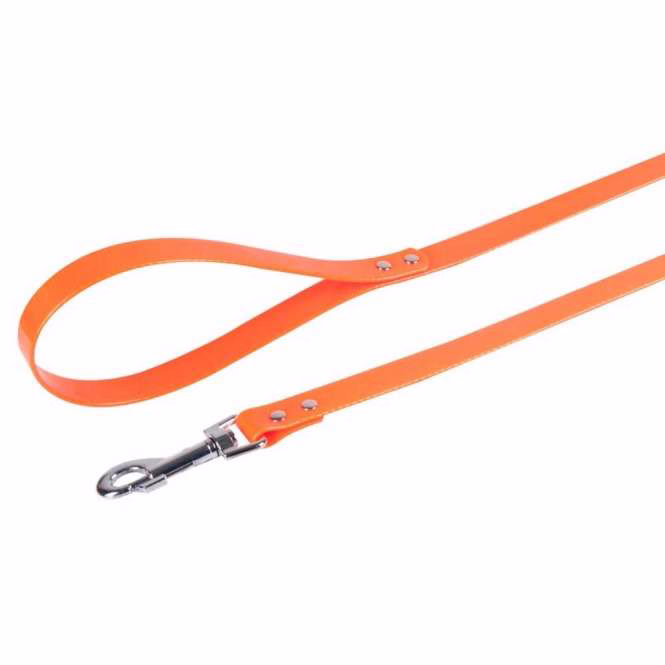 TPR Hundeleine 100 cm