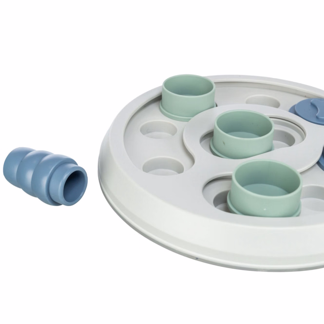 Dog Activity Flip & Fun