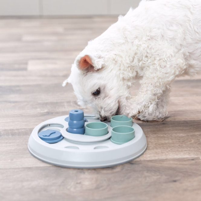 Dog Activity Flip & Fun
