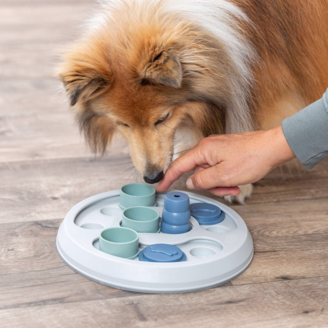 Dog Activity Flip & Fun