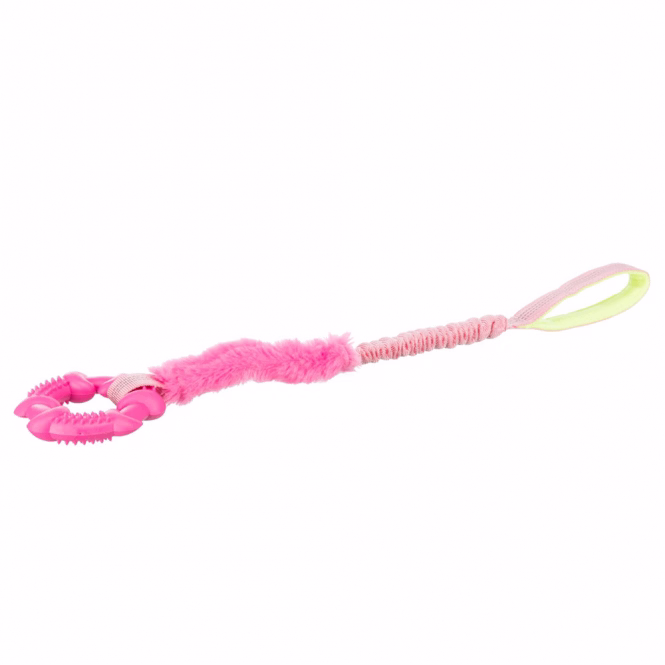 Bungee Tugger mit Ring