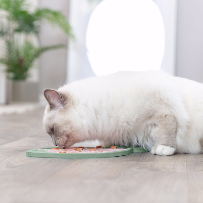Lick'n'Snack Schleckmatte Fisch für Katzen