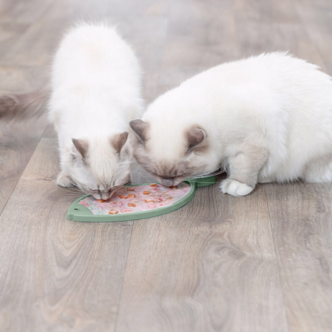 Lick'n'Snack Schleckmatte Fisch für Katzen