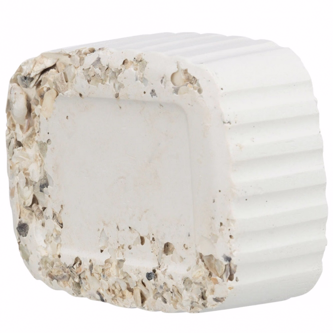 Trixie Pickstein mit Muscheln - 200 g