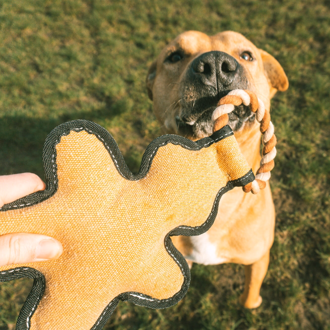 Canvas-Hundespielzeug Lebkuchenmann