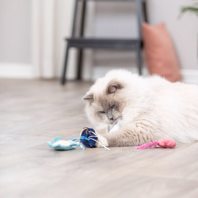 Katzenspielzeug Meerestiere mit Catnip