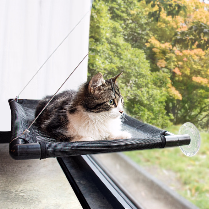 Fensterhängematte für Katzen