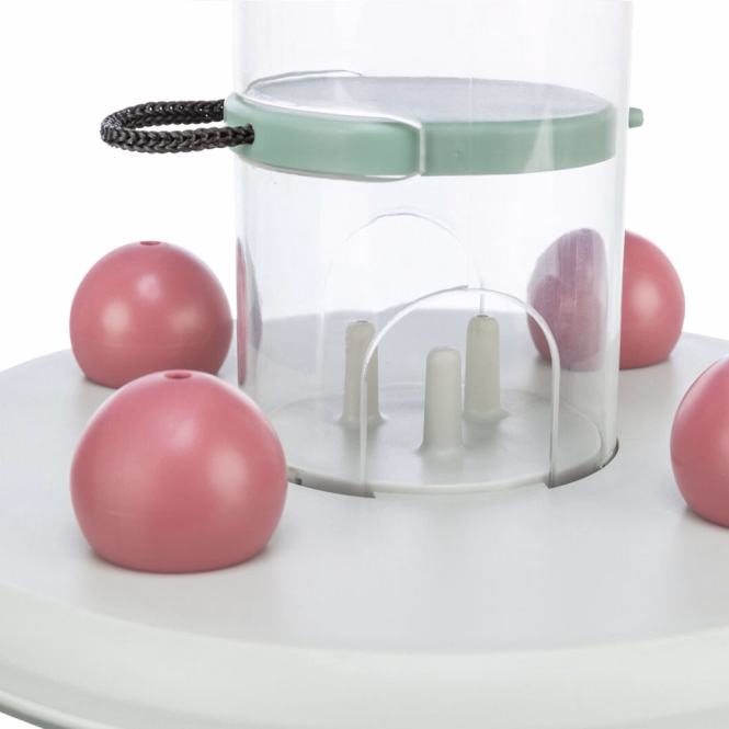 Cat Activity Gambling Tower