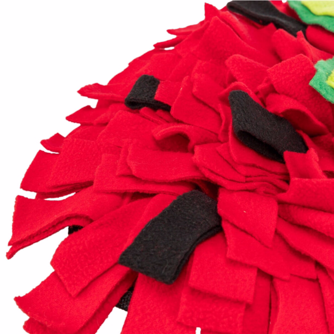 Schnüffelteppich Erdbeere für Kleintiere