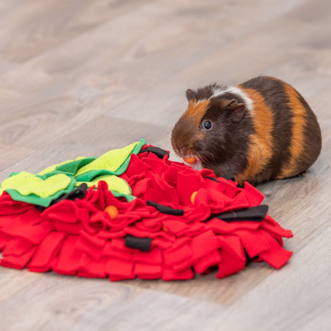Schnüffelteppich Erdbeere für Kleintiere