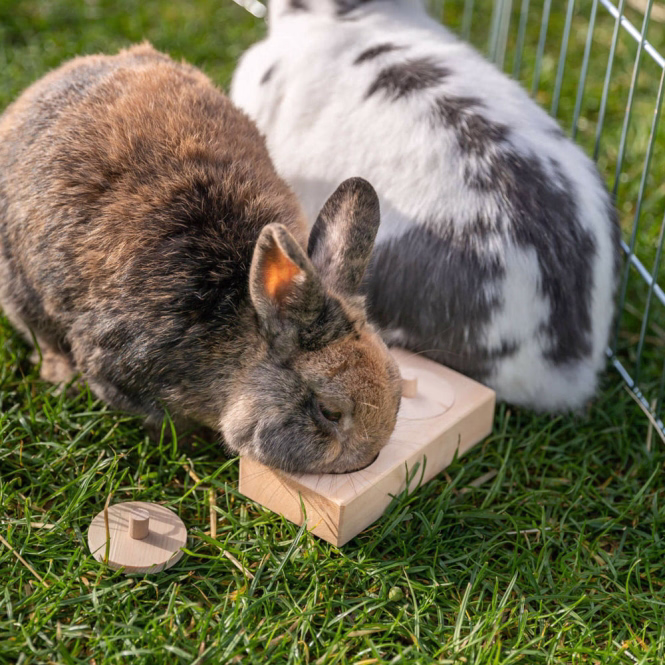 Trixie Snack Box für Vögel und Kleintiere