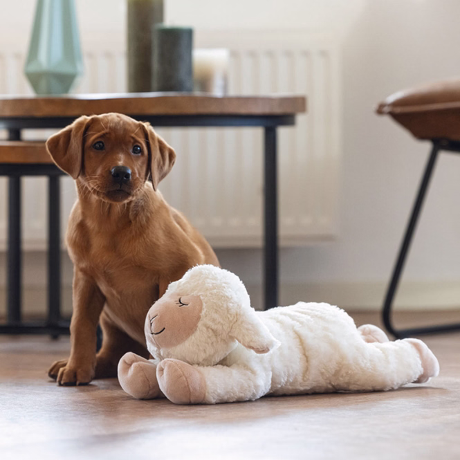 Welpen-Kuscheltier Bowi