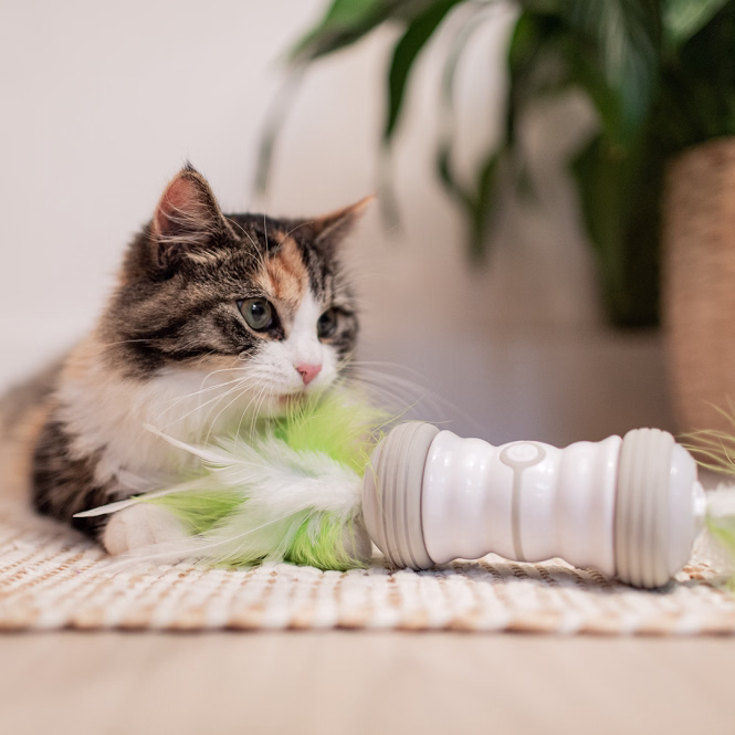 EBI Cat Toy Double Spinner - weiß/grün
