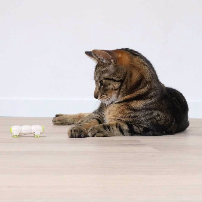 EBI Cat Toy Buzzing Caterpillar