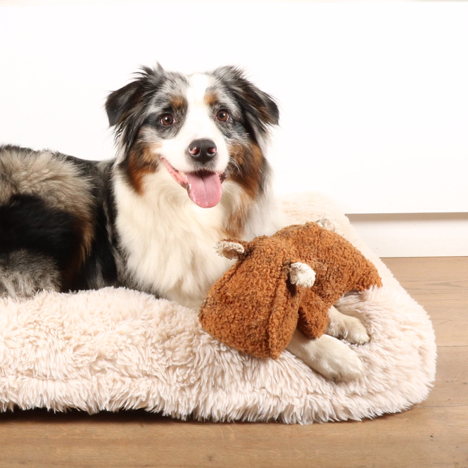 D&D Hundespielzeug Emmy Teddystoff - braun