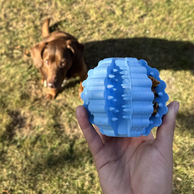 Griplay Dental-Ball mit Rippen für Hunde