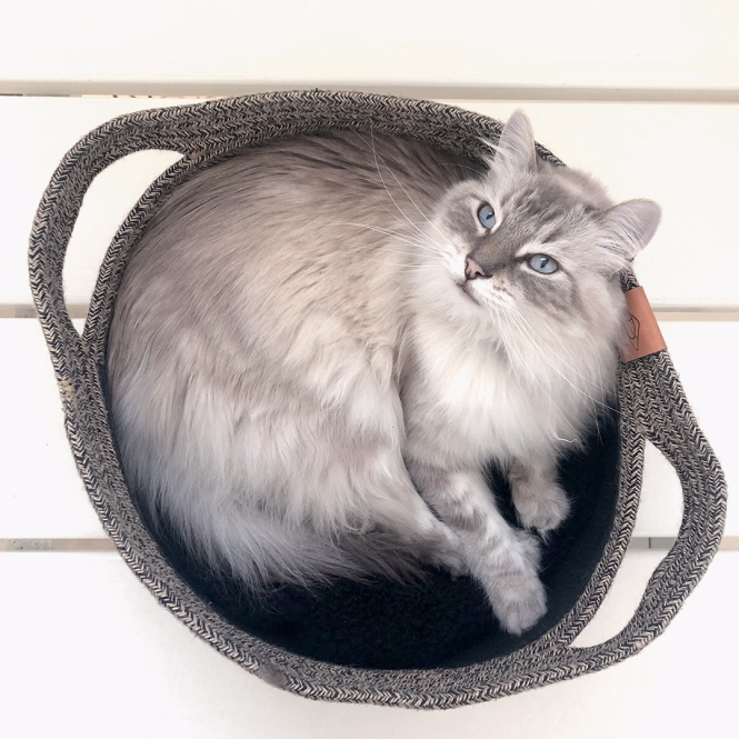 D&D Katzenkorb Tod - schwarz