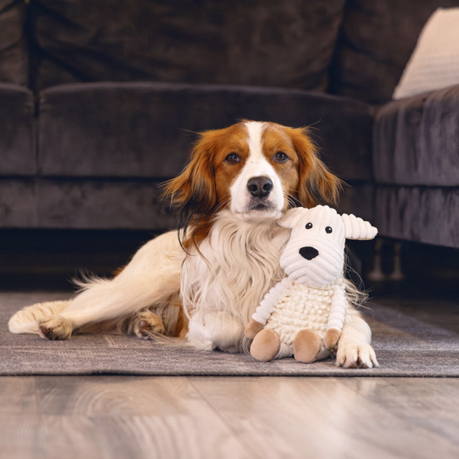 Beeztees Eco Hund Onne