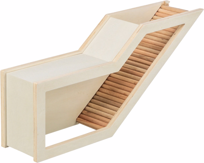 Käfig-Watchbox aus Holz