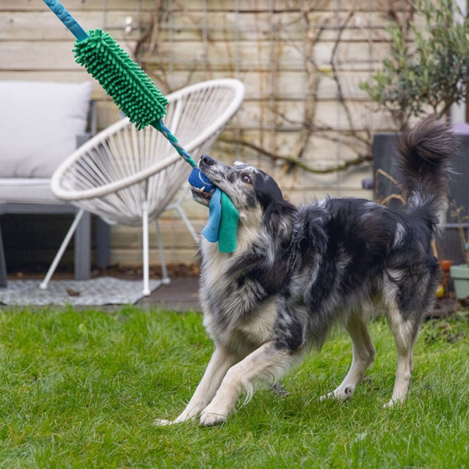 Beeztees Hundespielzeug Kino + Ball - 90 x 10 x 6 cm