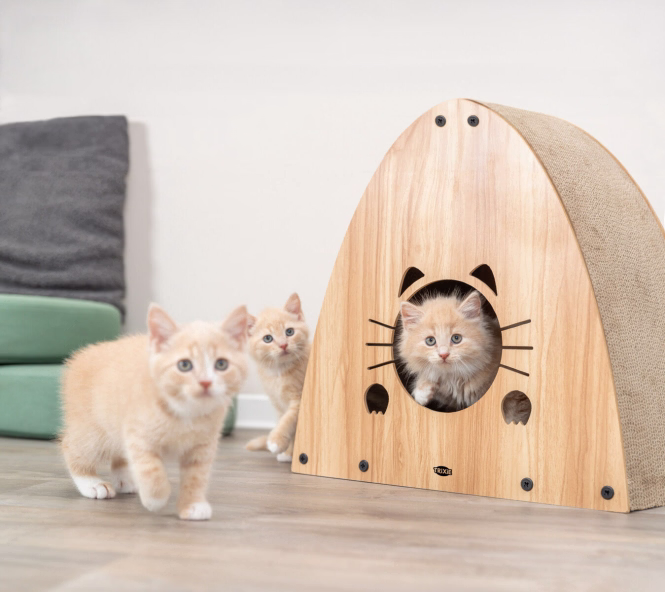 Katzen-Kratzhaus