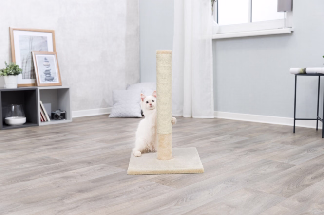 Kratzstamm Batres