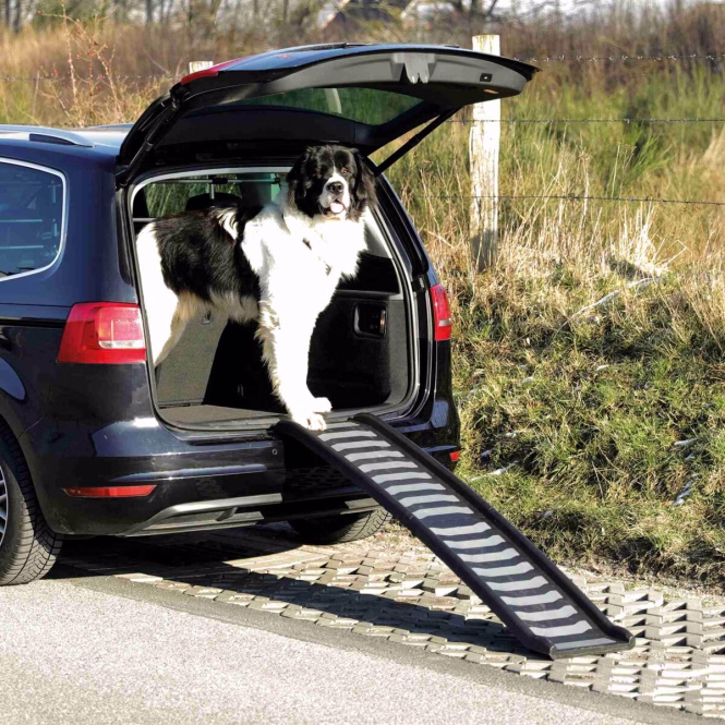 Klapp-Rampe für Hunde
