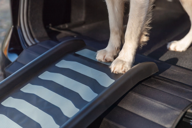 Klapp-Rampe für Hunde