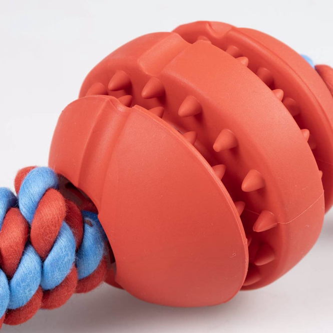 Zerrseil mit Noppenball