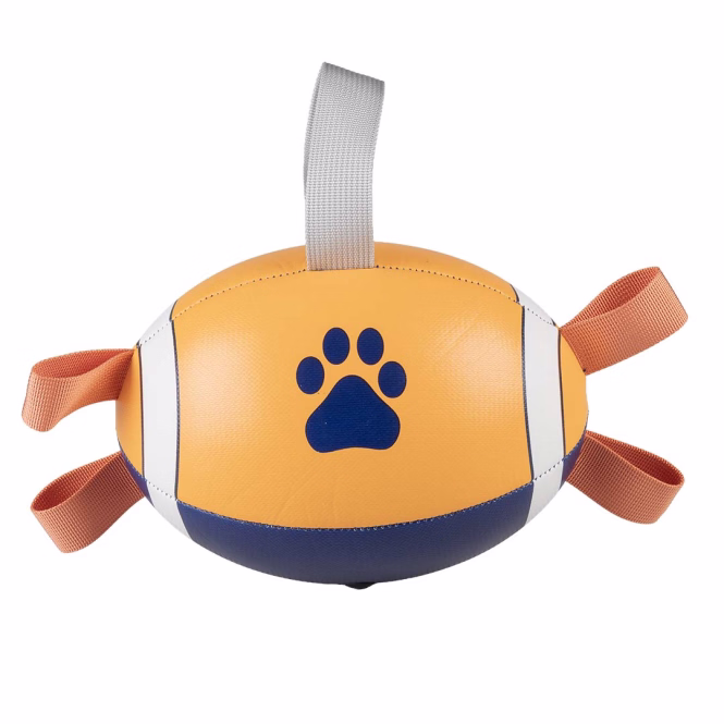 Rugbyball mit Pumpe