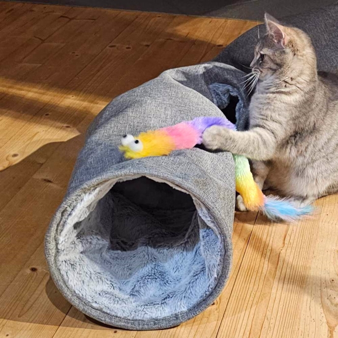 Kuscheltunnel Gauri für Katzen