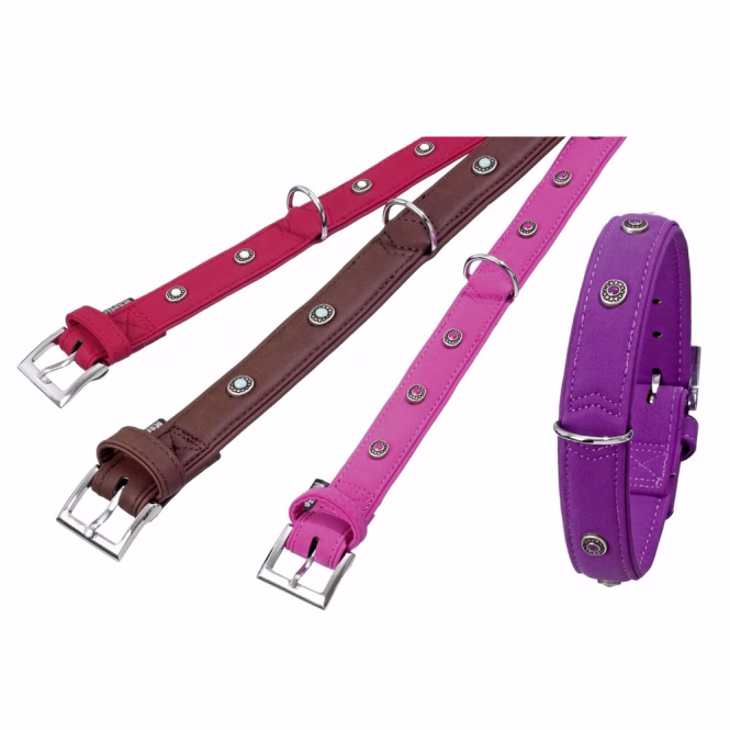 Hundehalsband Art Buffalo Deco lila, 60 cm