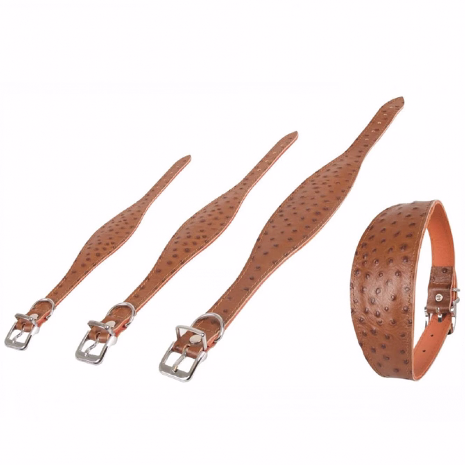 Windhund-Halsband Ventus