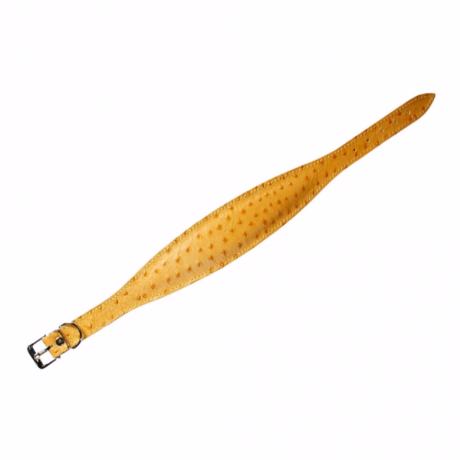 Windhund-Halsband Ventus